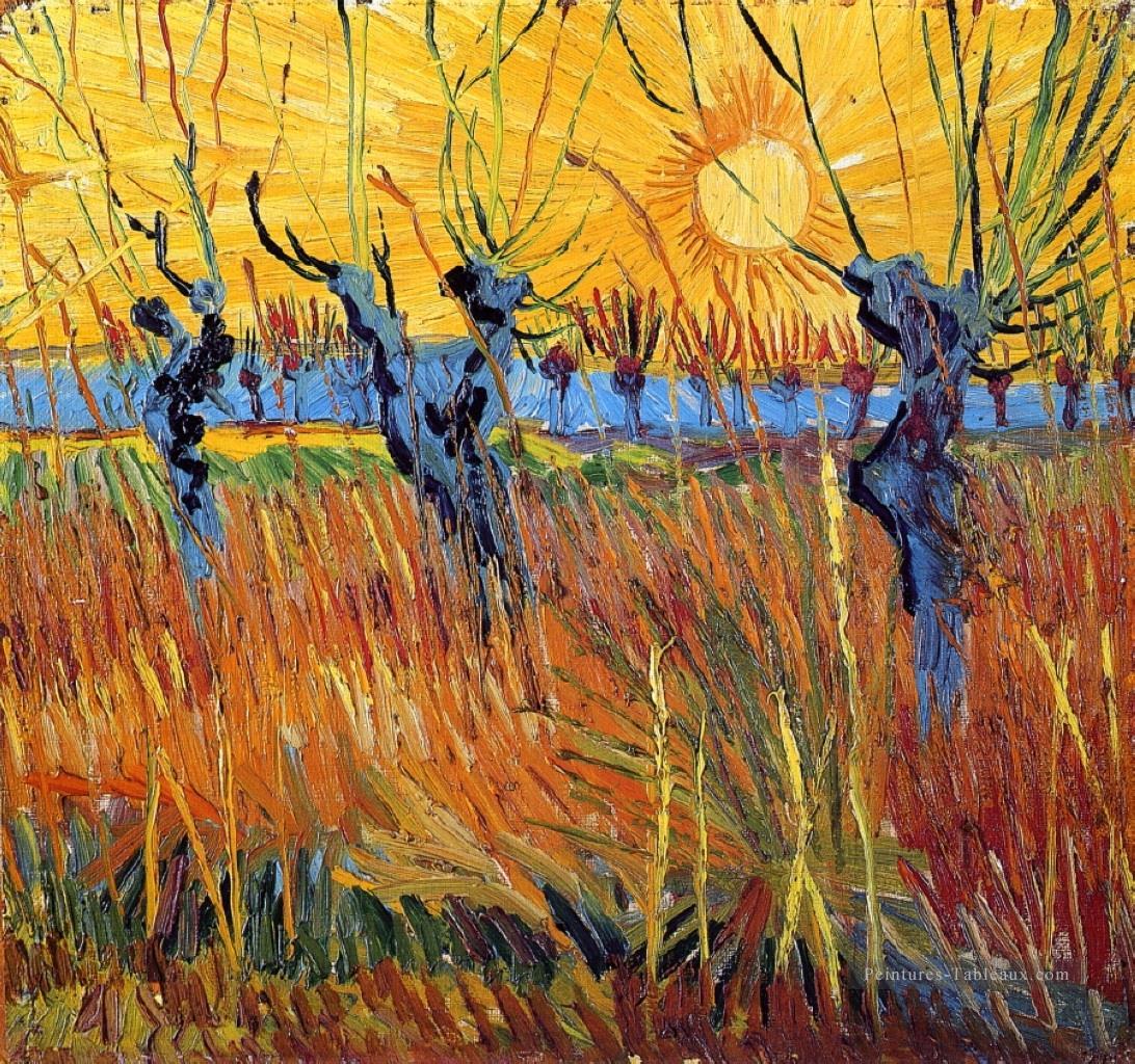 Pollard Willows et mise en soleil Sun Vincent van Gogh Peintures à l'huile